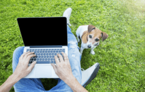 Animales y mascotas