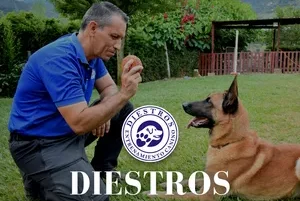 Entrenador adiestrando a un perro en el jardín.